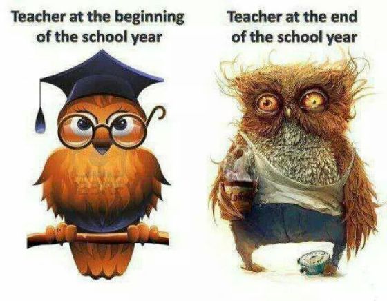 teacher beginning of the year